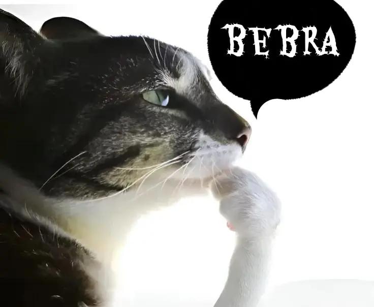 @Доктор Врач • друзья