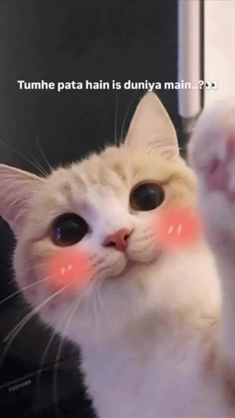 @فَاطِمہَ🏴