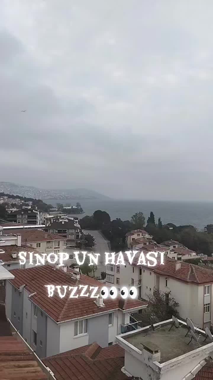 @sevimcannefes