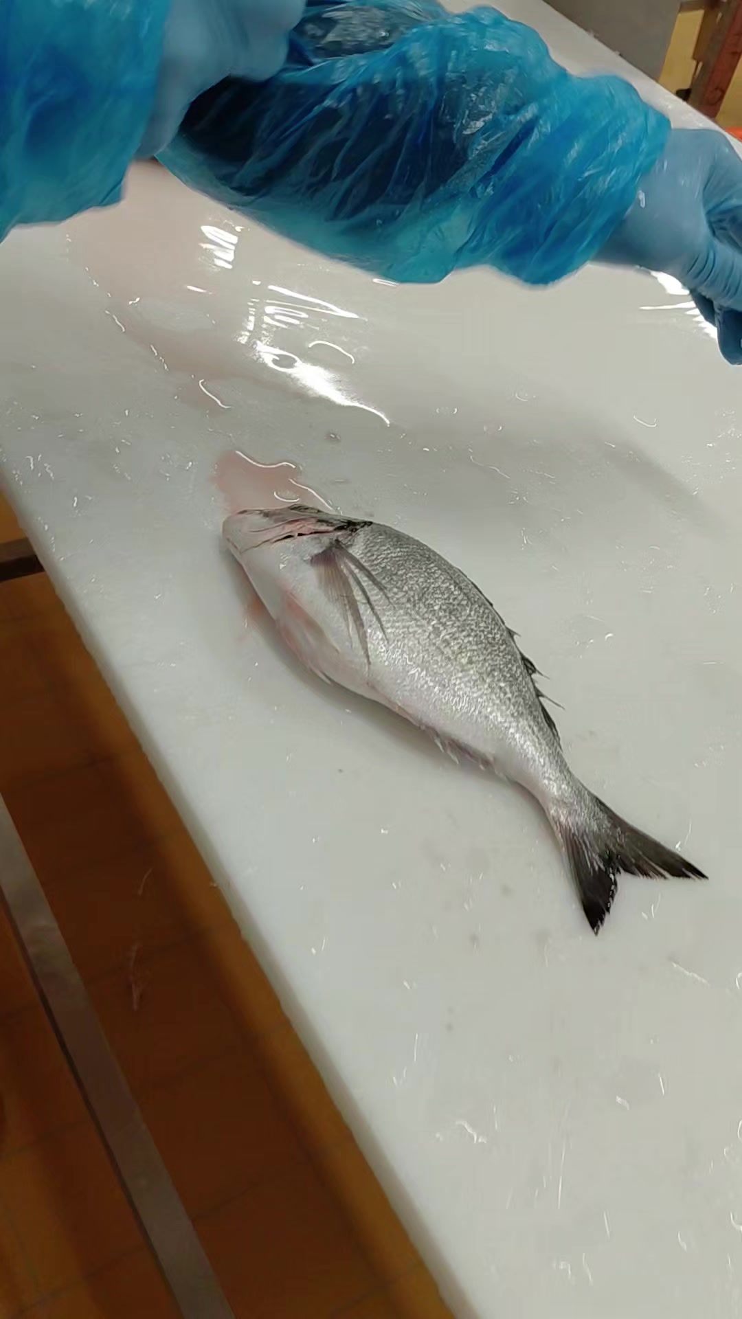 @lapprenti.poissonier