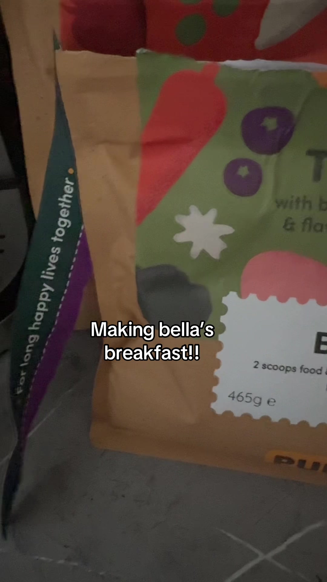 @Bella & Chitzi