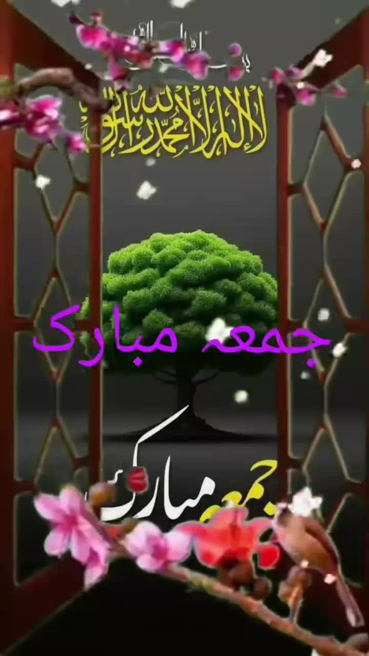 @Hamza Maqsood 288