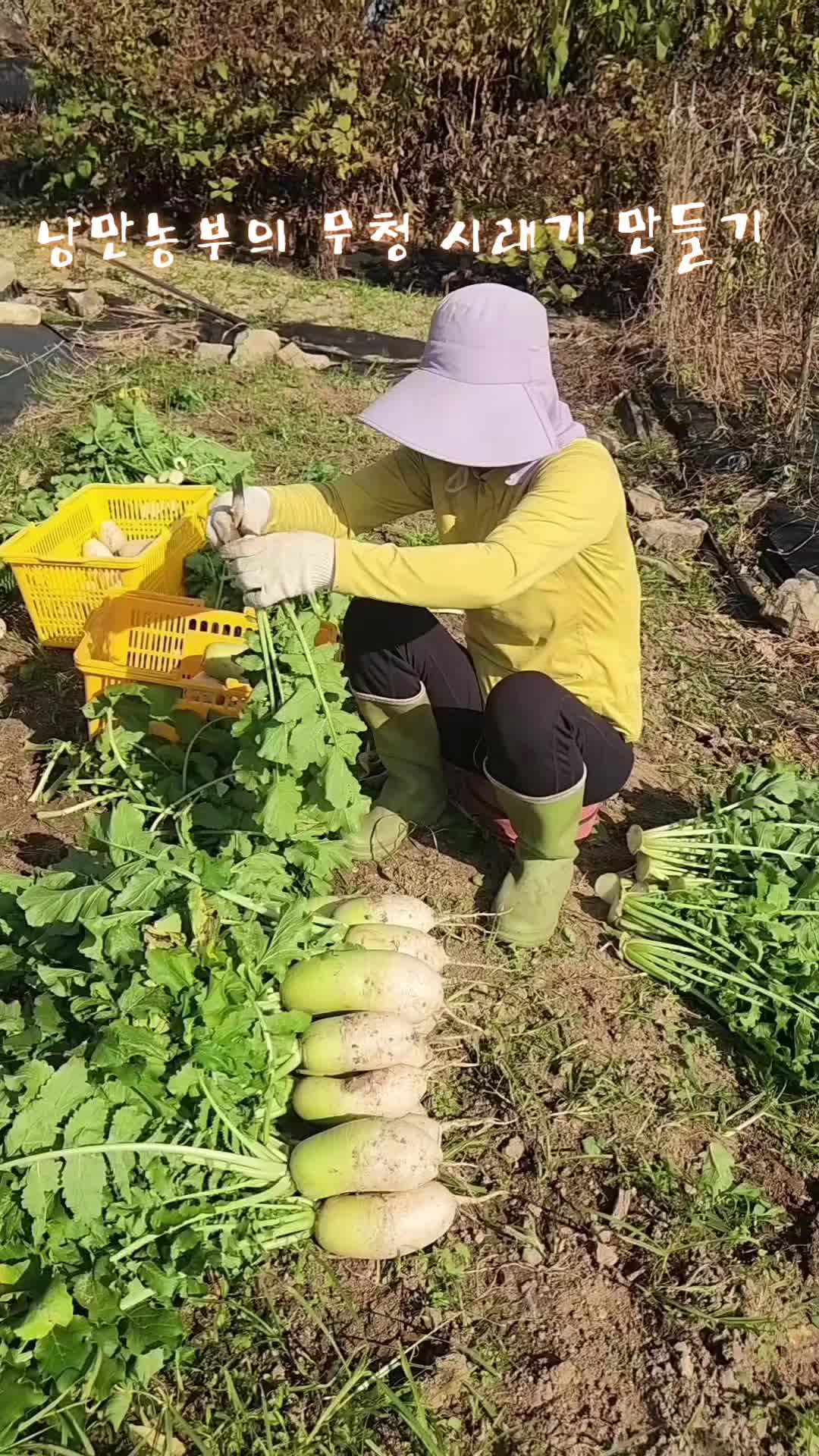 @운유농원