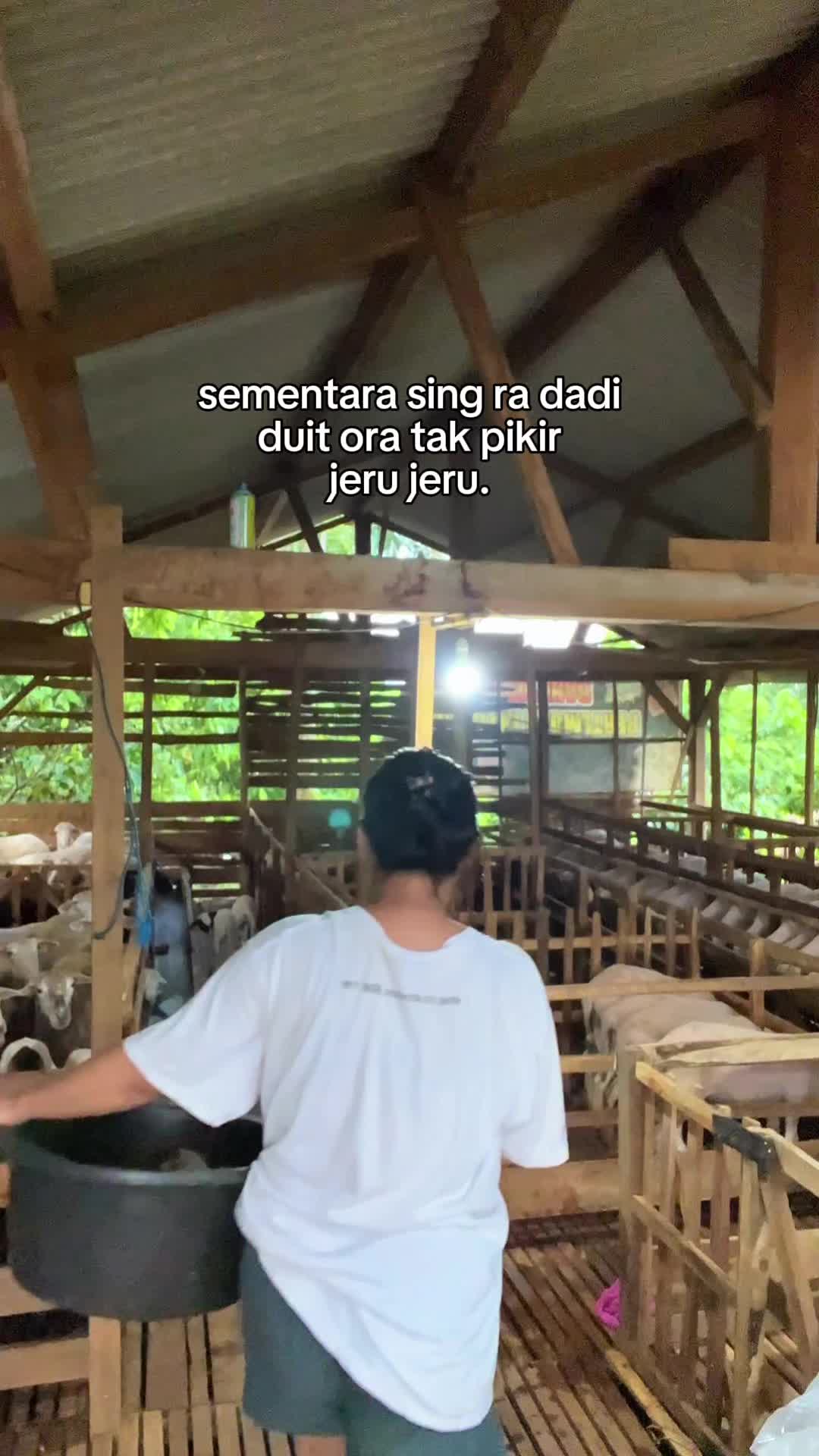 @DhanniaFarm