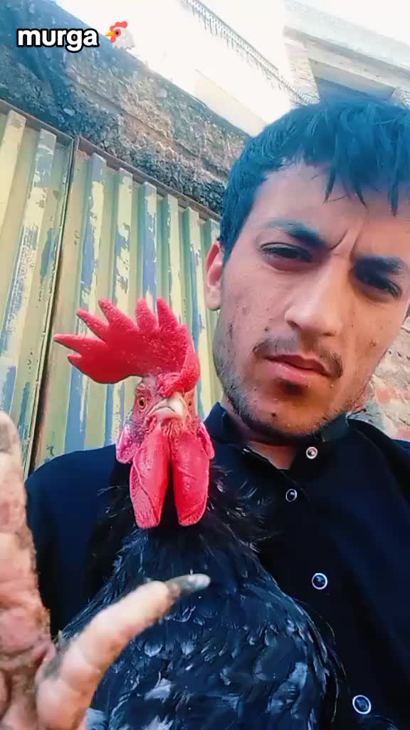 @Hassan Khan
