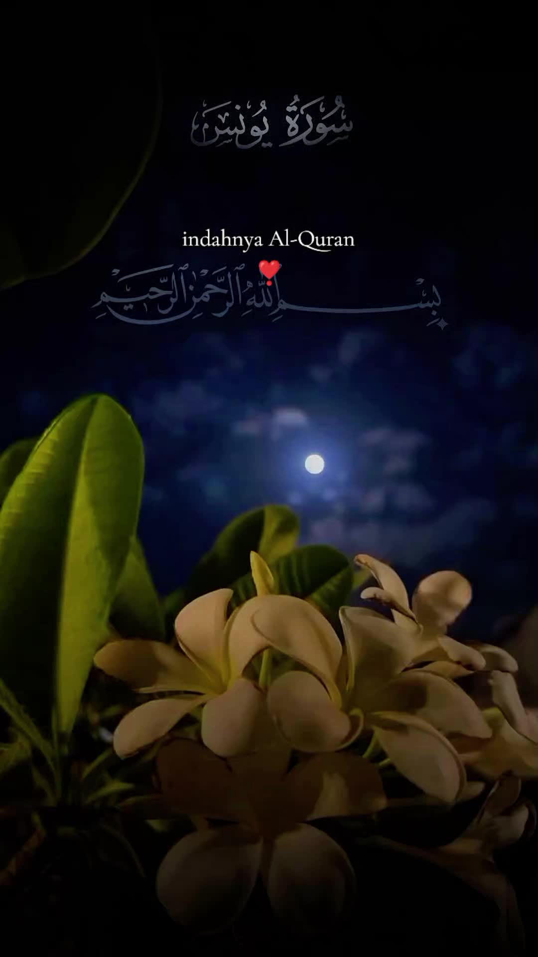 @M. Atta