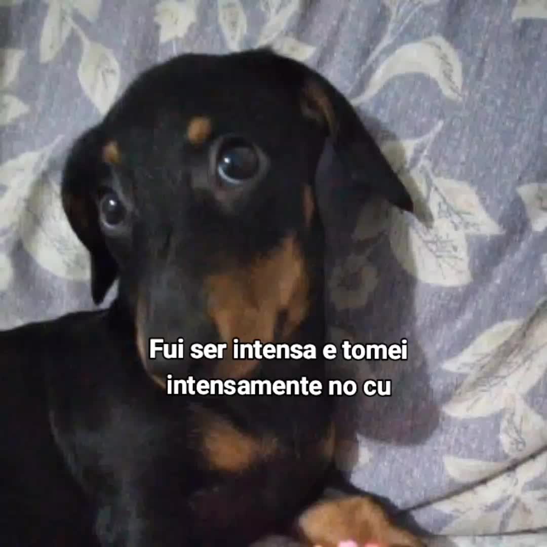 @slv_✿