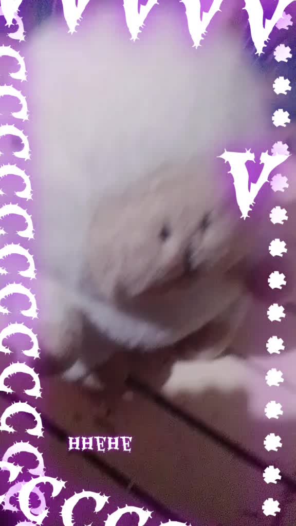 @Valeen Anastacia