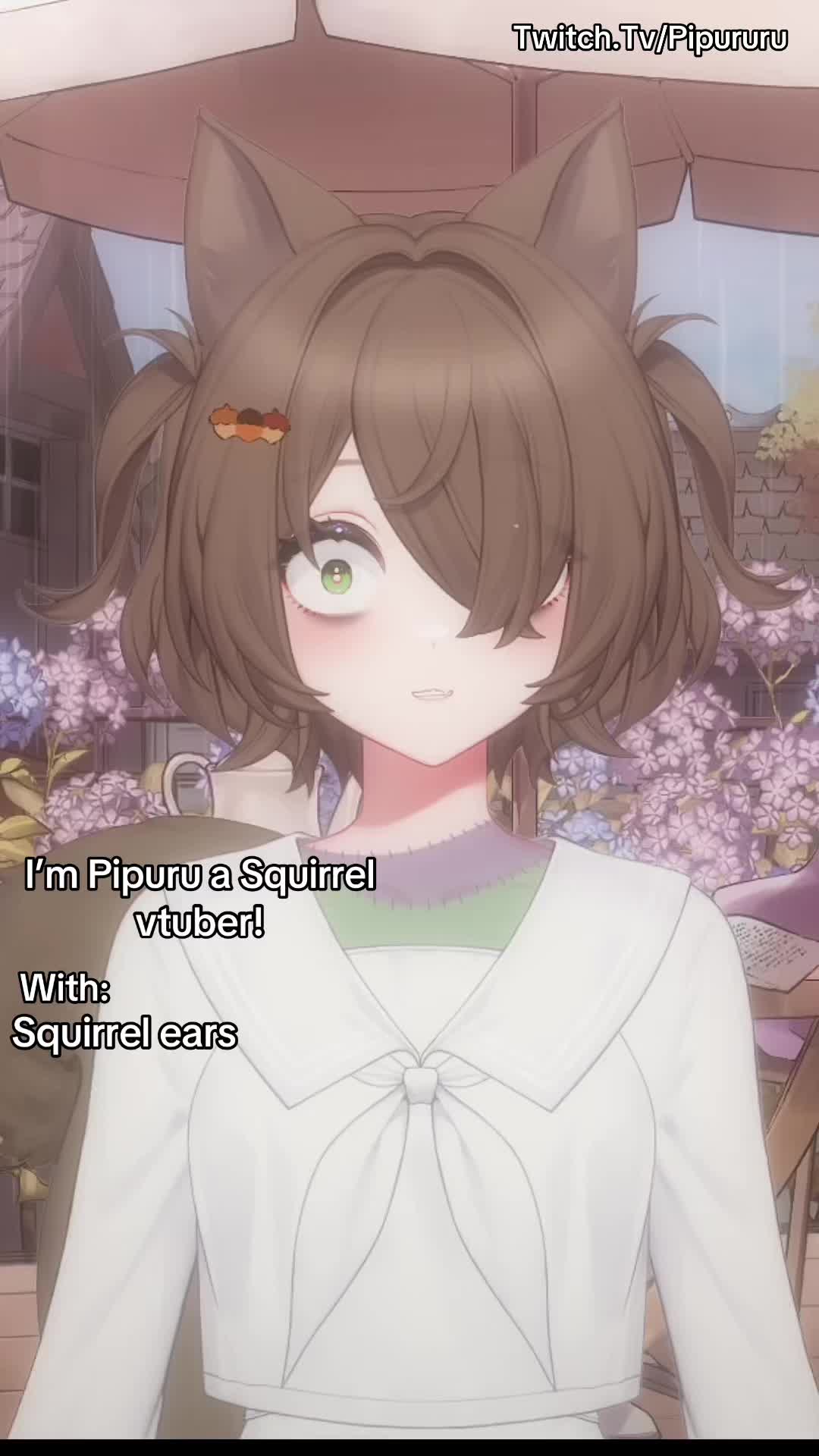 @Pipuru 🐿️🩹 [Vtuber]