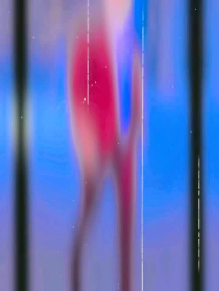 @ব্যর্থ প্রেমিক ভালোবাসা