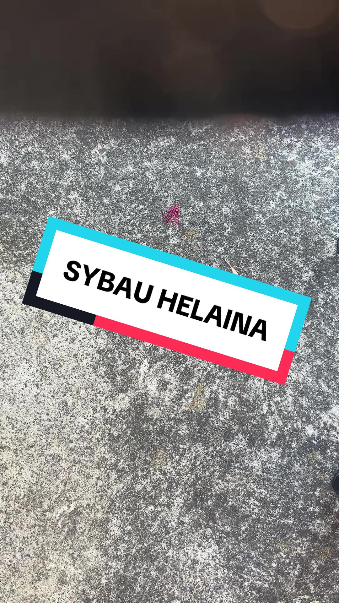 @sybau_names
