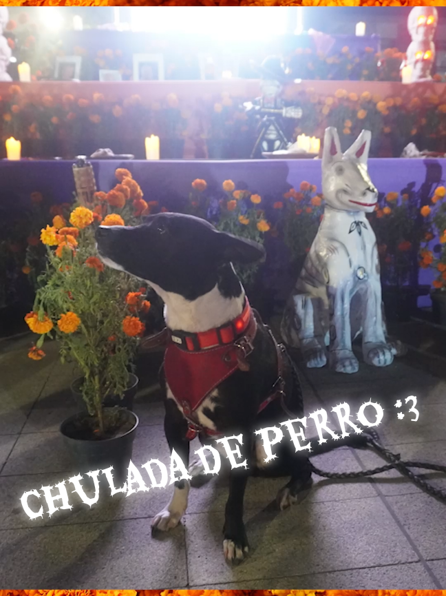 @laoficinadearies2
