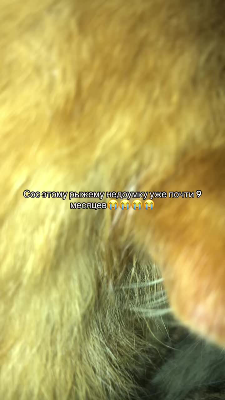@#вайс