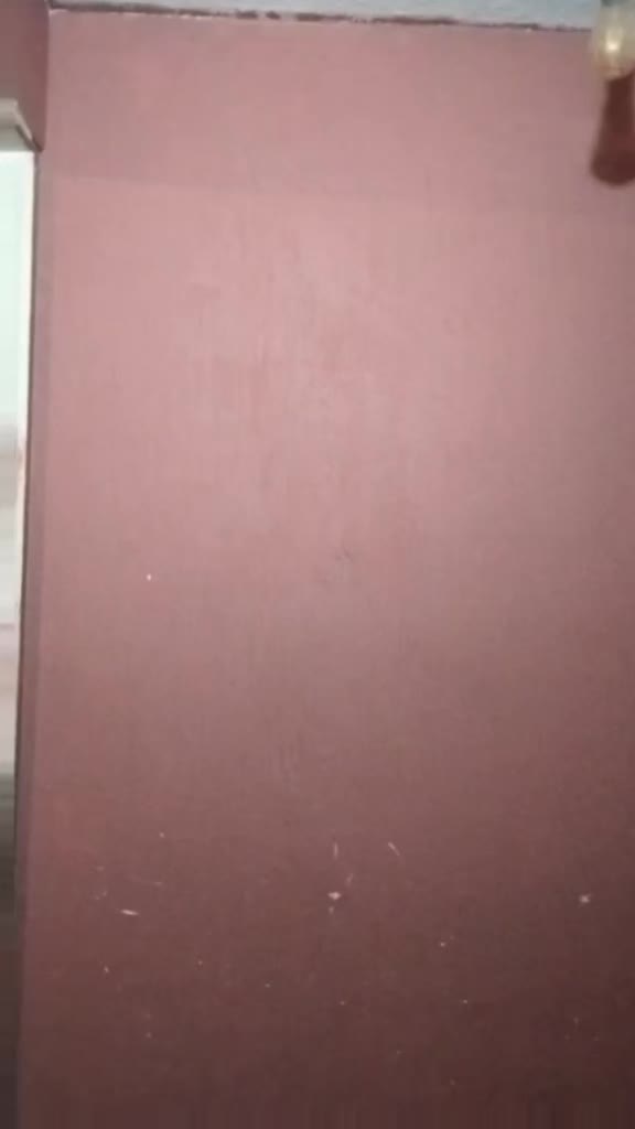 @Dani