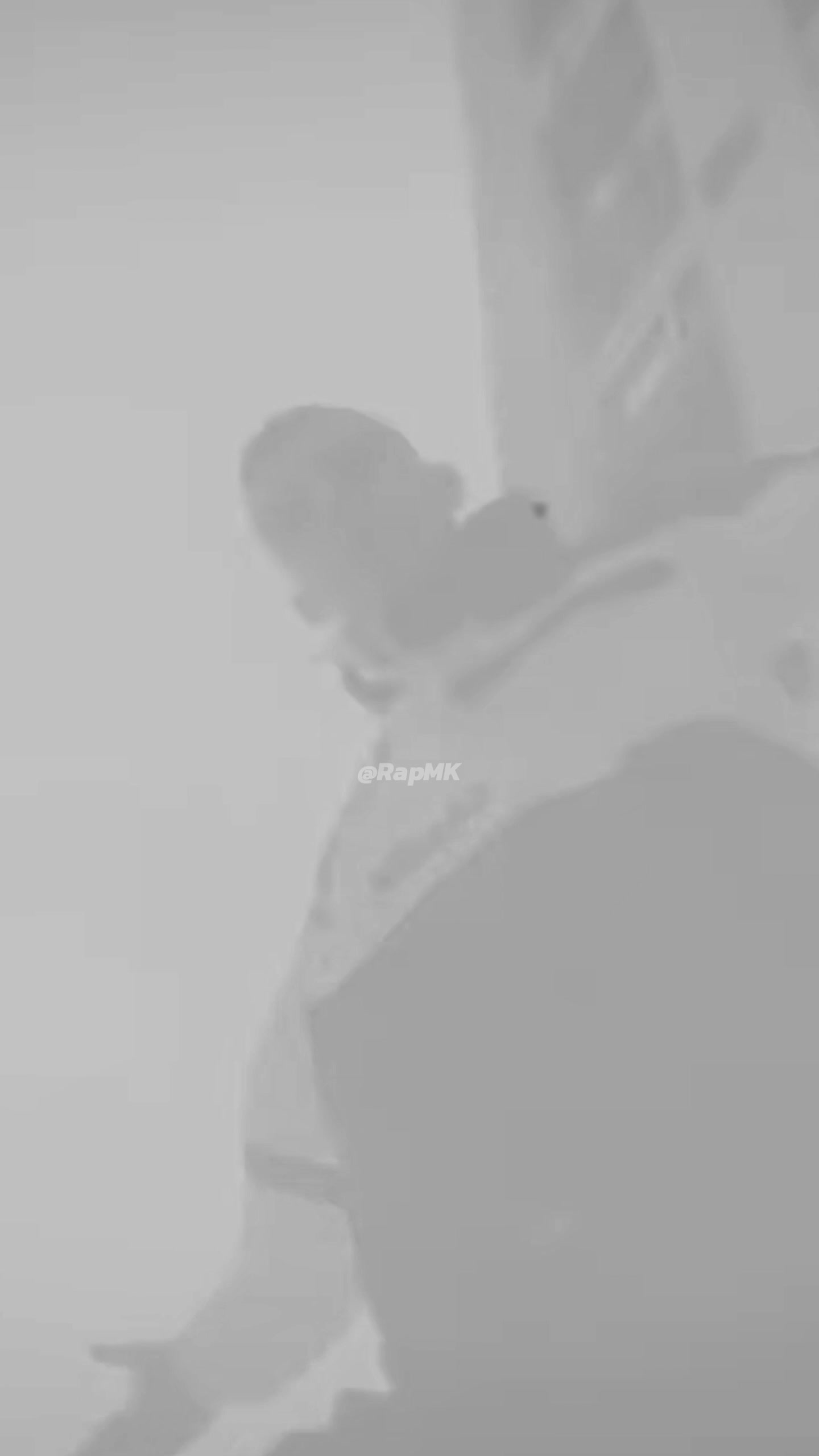 @rappmk