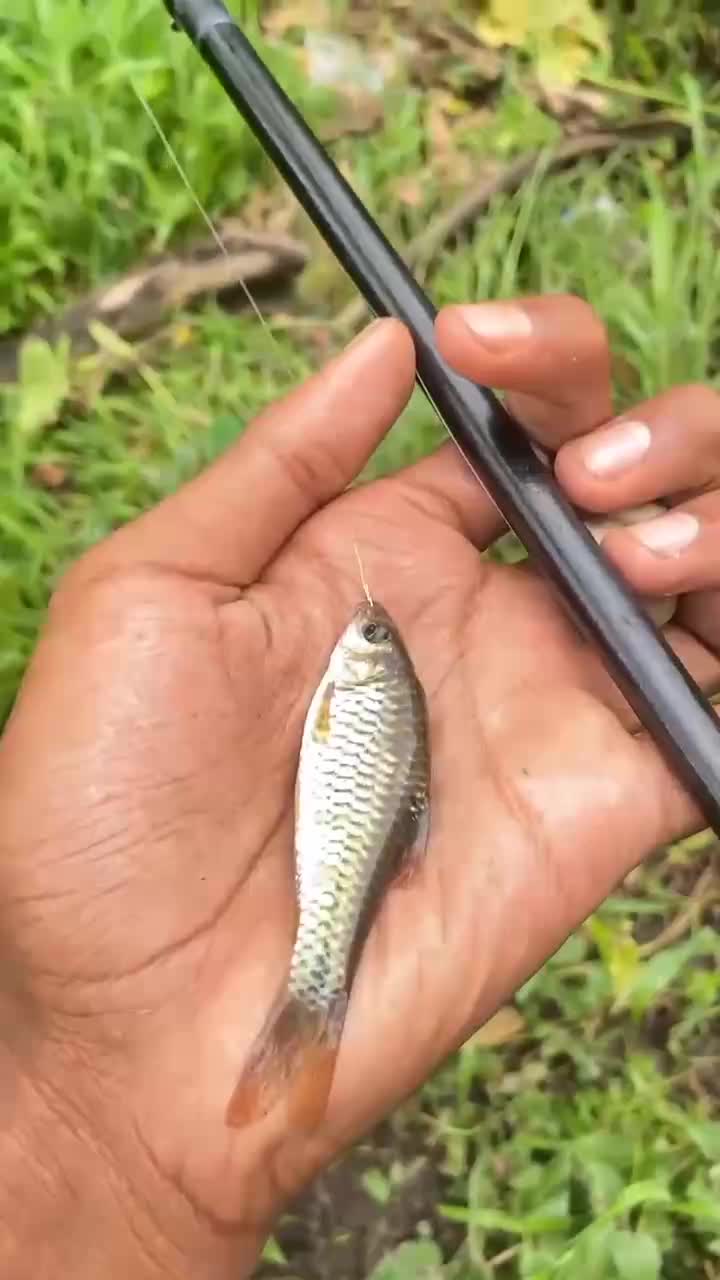 @mancing misuh
