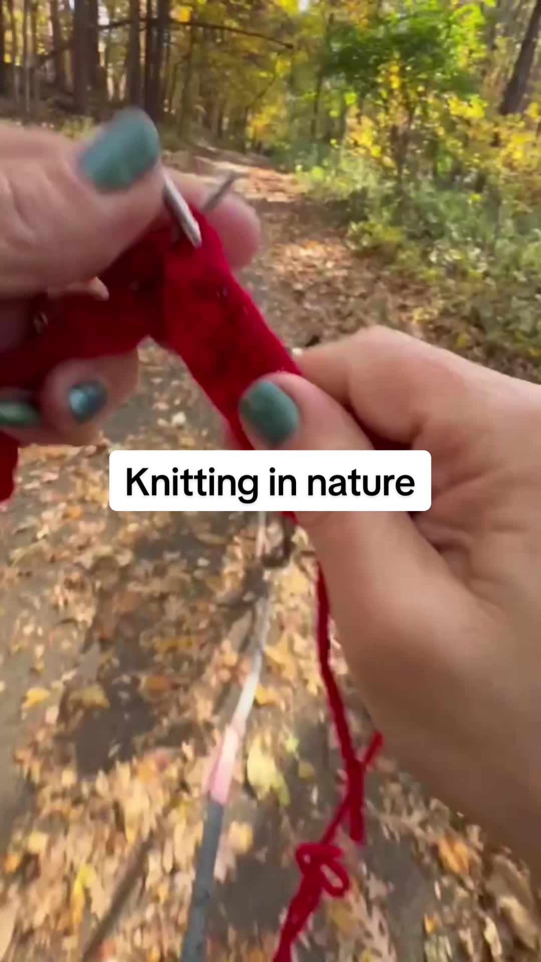 @lots.of.dots.and.knots