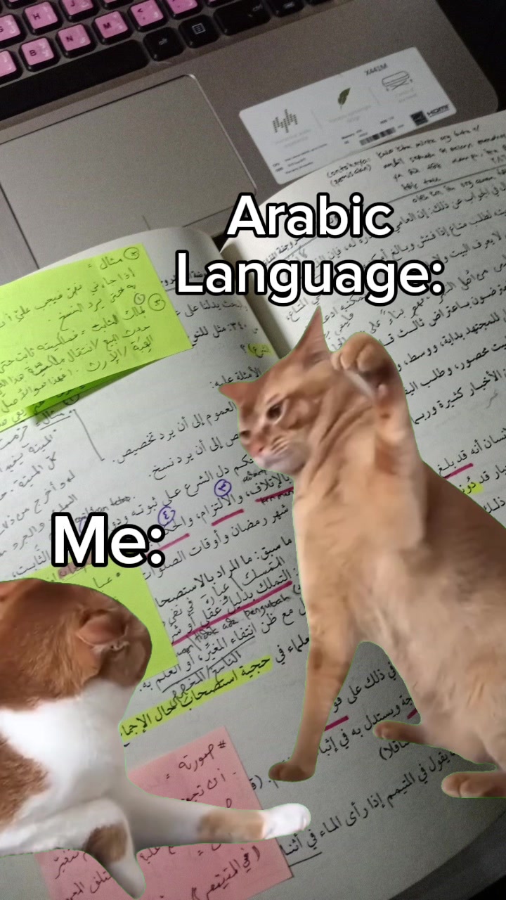 @The Safeer Arabic School