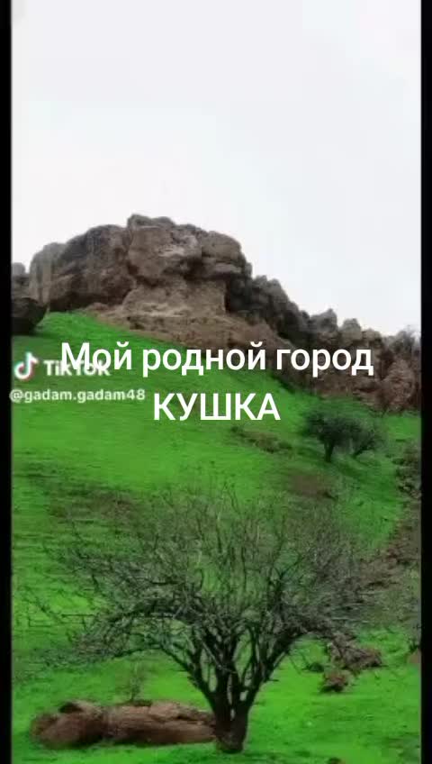 @Rieltor