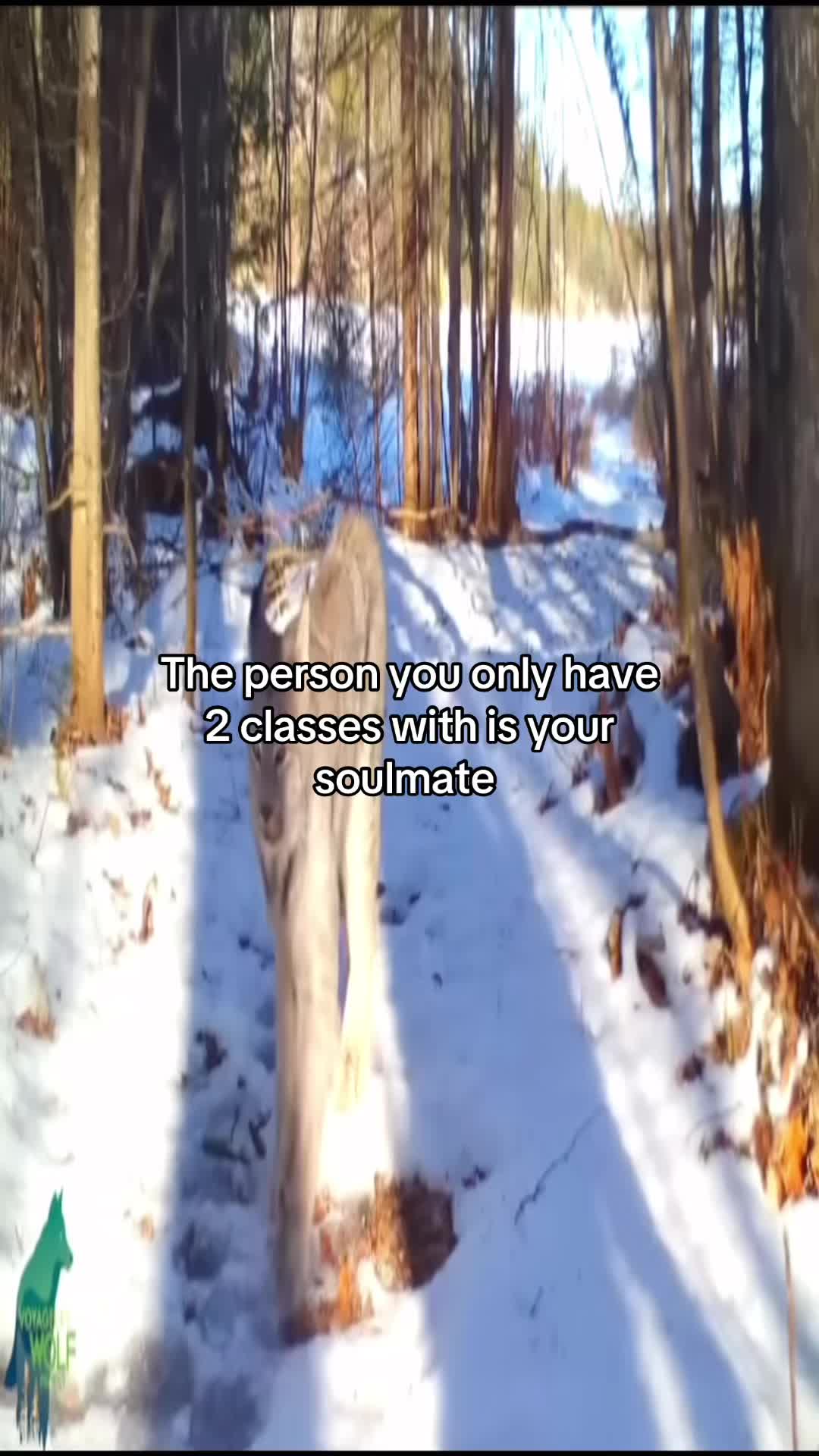 @J
