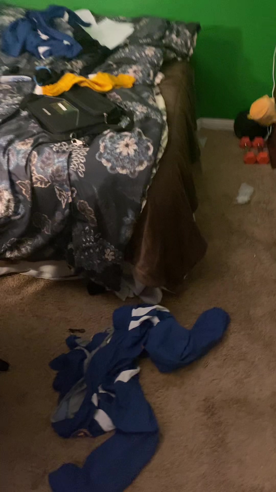 @IshiTheFishy