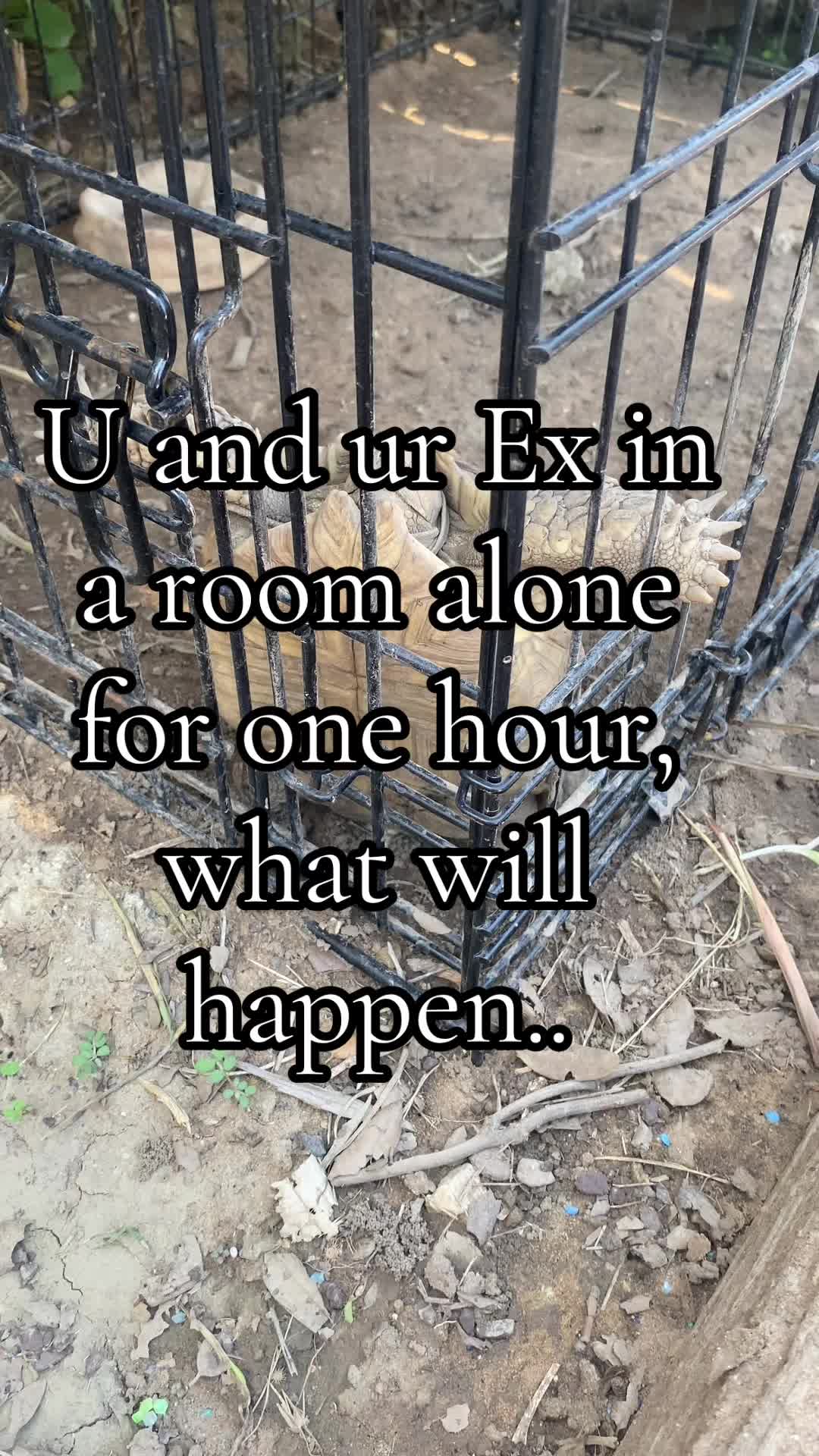 @Txgamery20 
