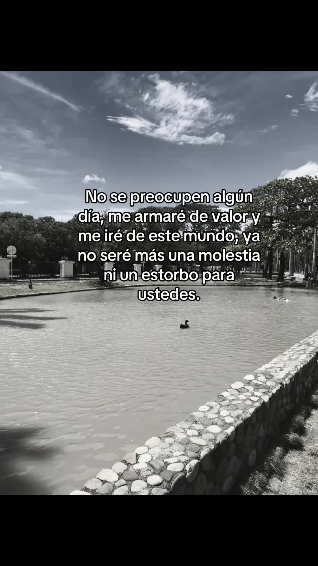 @anonima