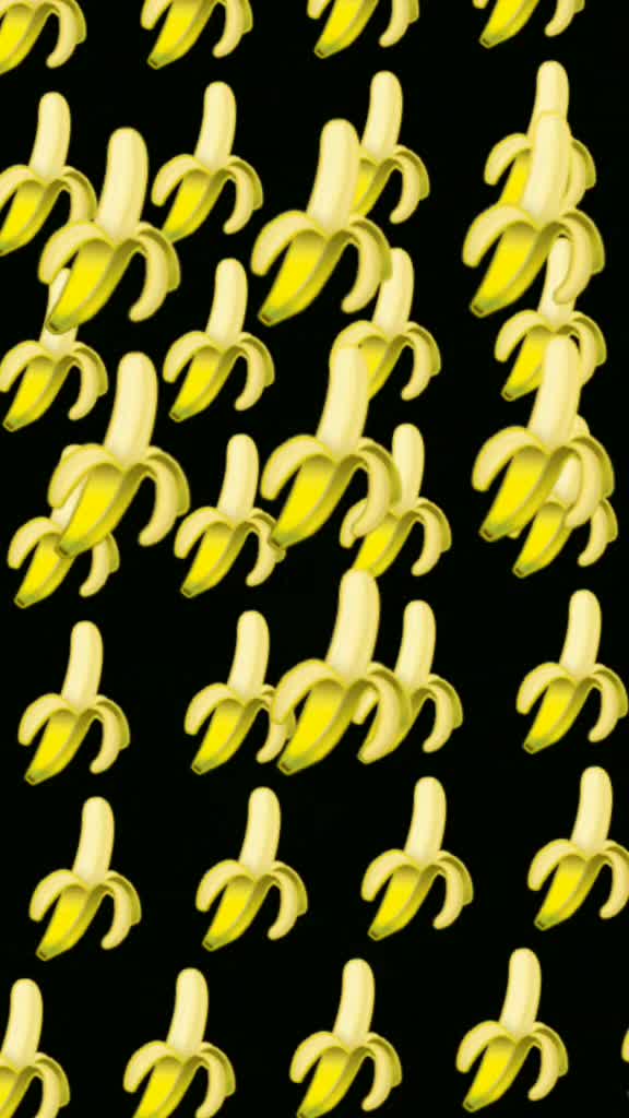 @Dylan