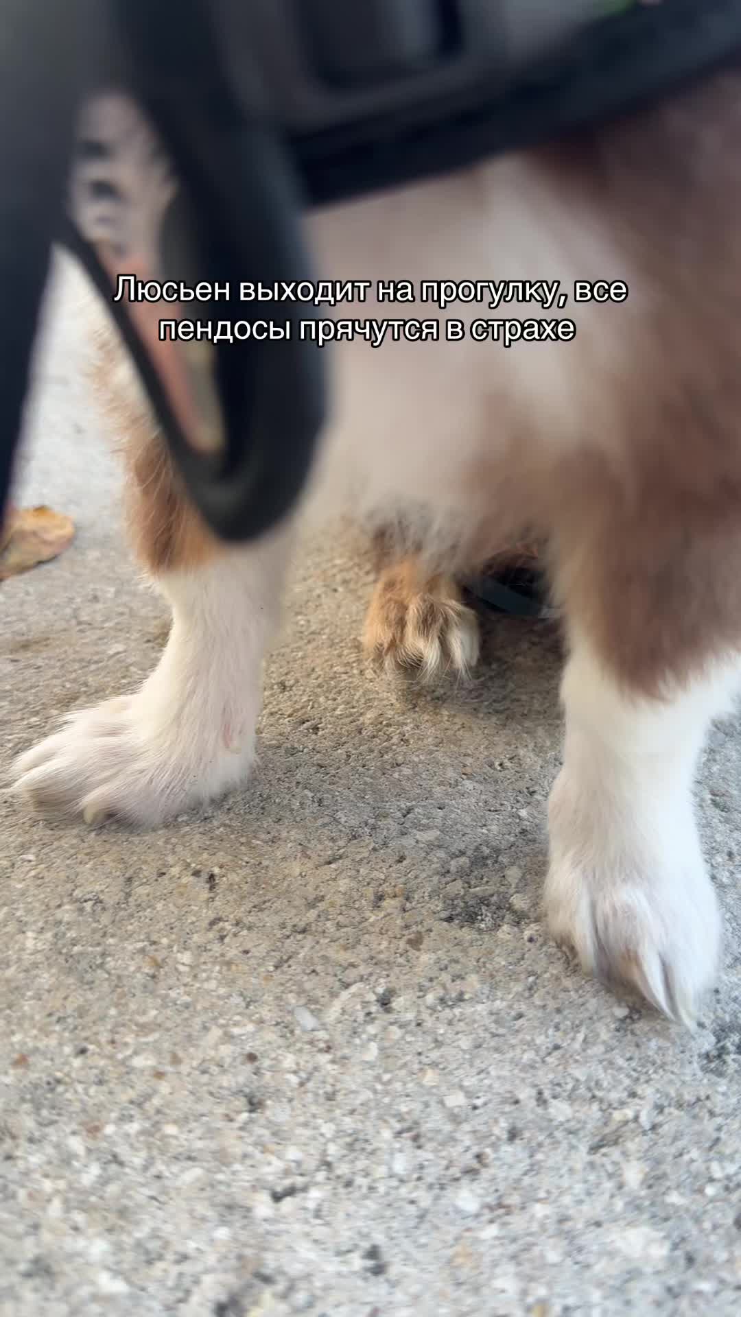 @Алёнка