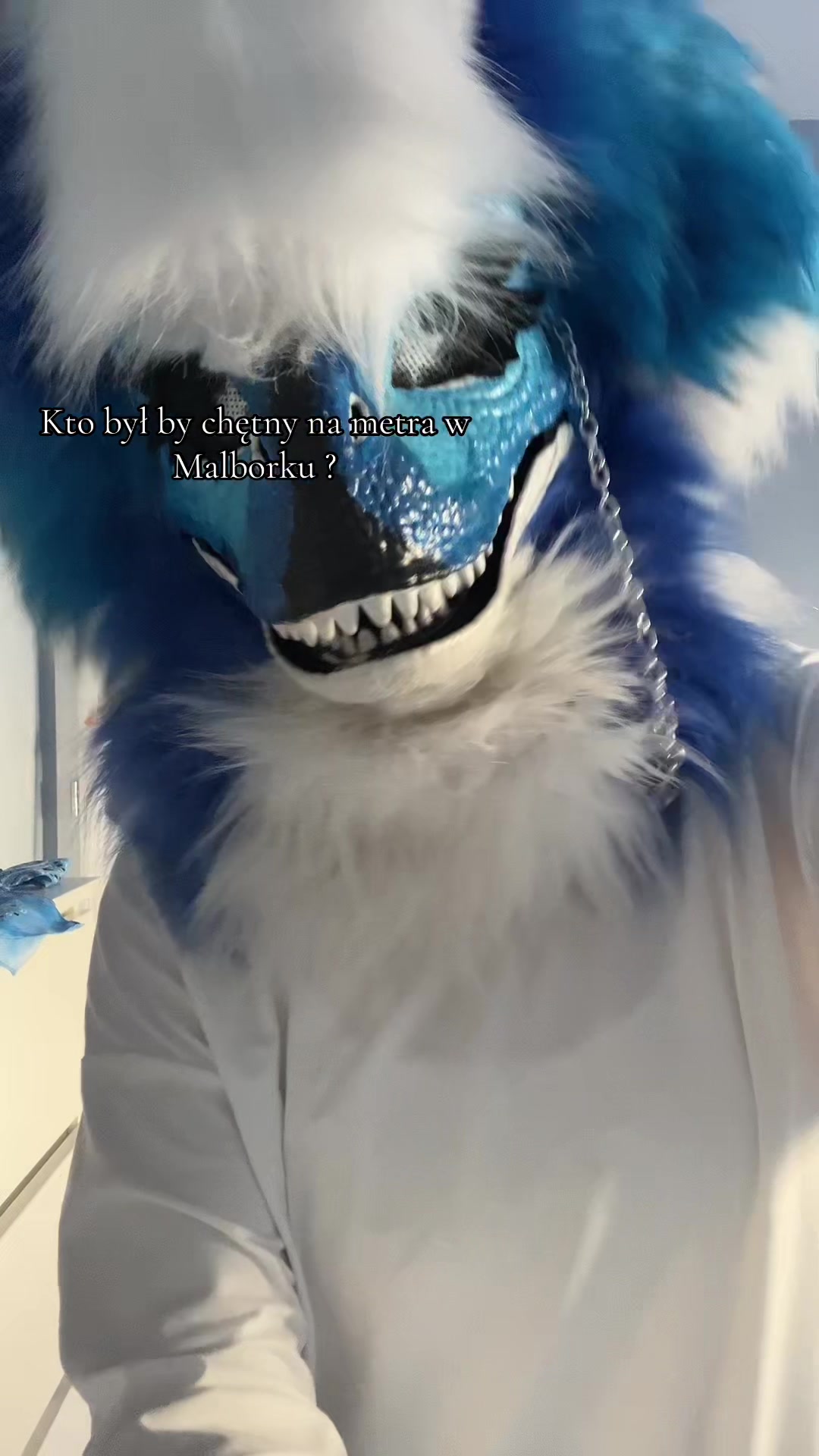 @✩ 𝓑𝓵𝓾𝓮 𝓢𝓽𝓪𝓻 ✩