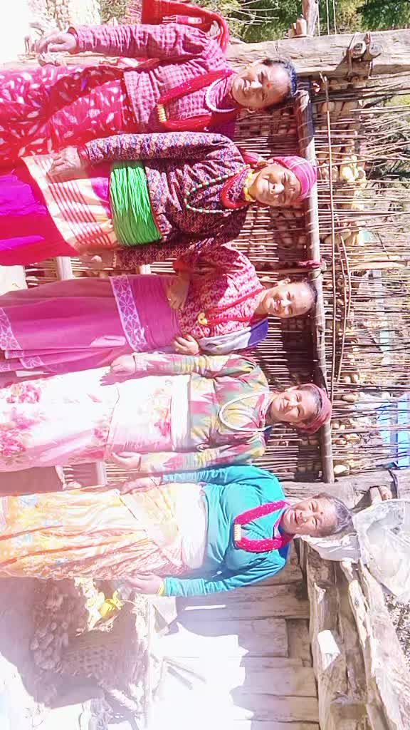 @Bindu Budha