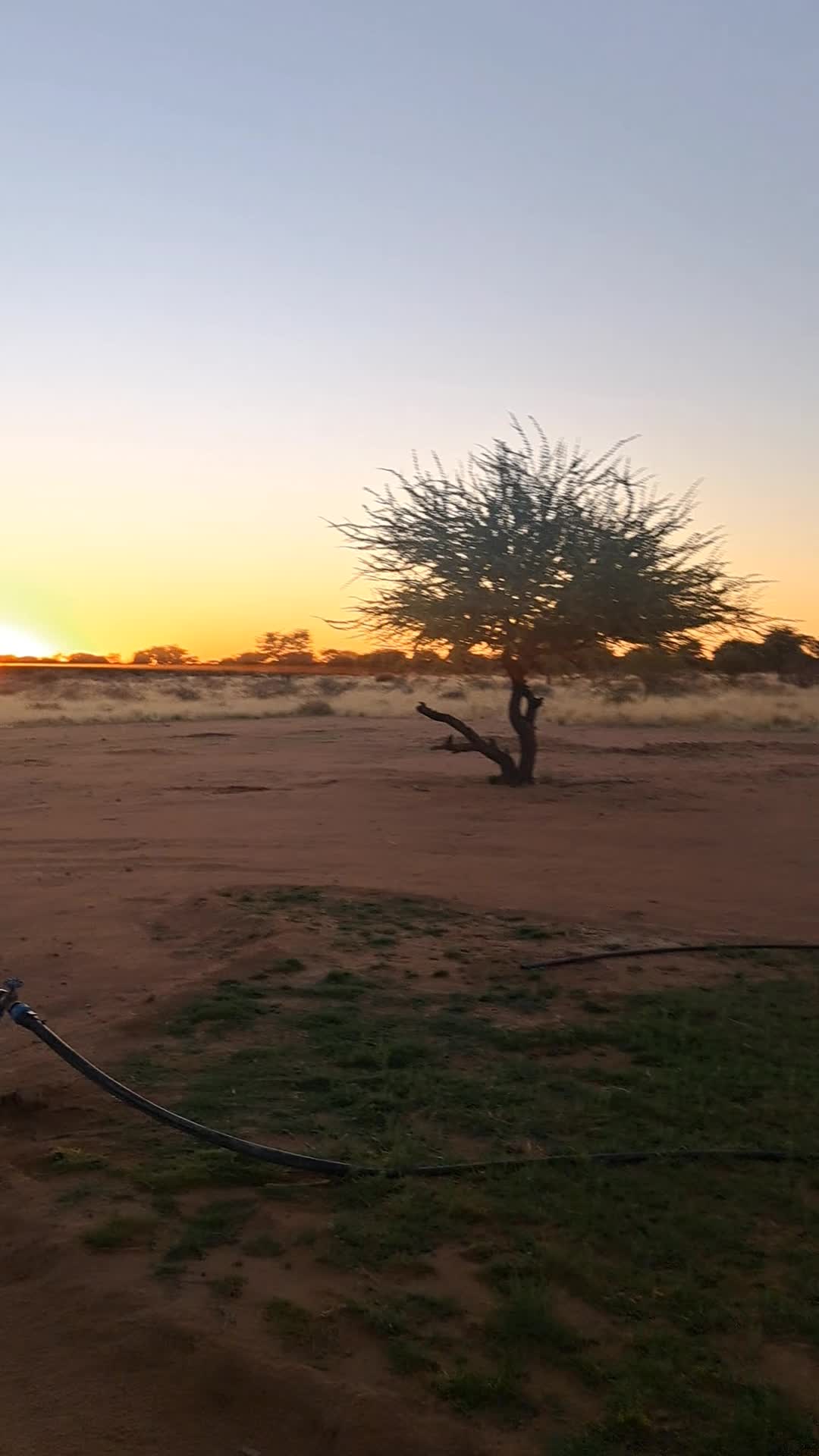 @C𝒐𝒆𝒕𝒛𝒆𝒆C𝒍𝒂𝒏 🇳🇦