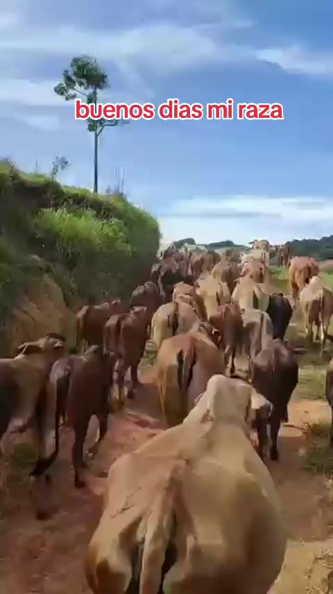 @NATURALEZARANCHO