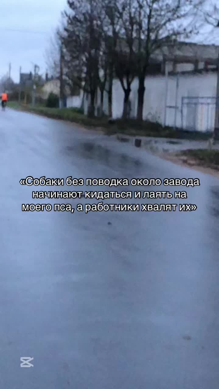 @#вайс