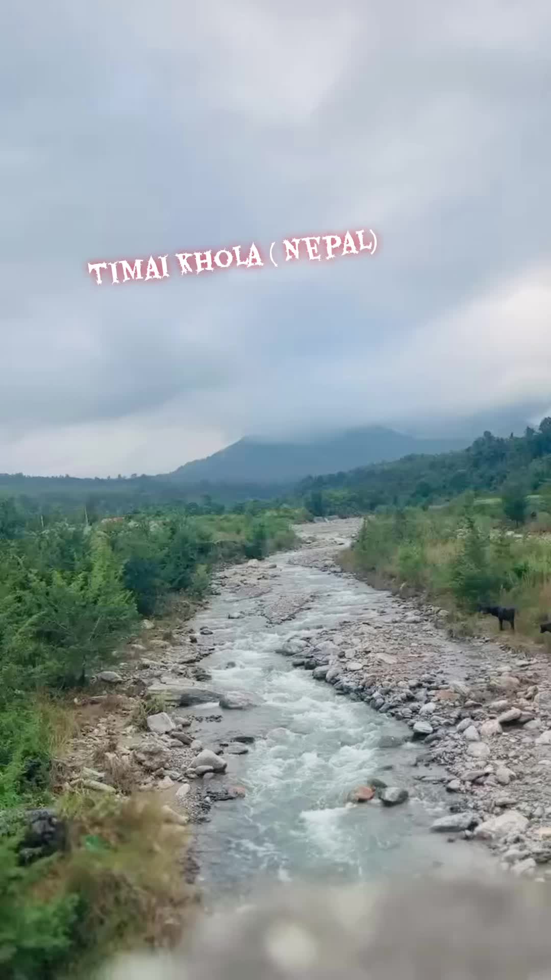 @Tika Dulal
