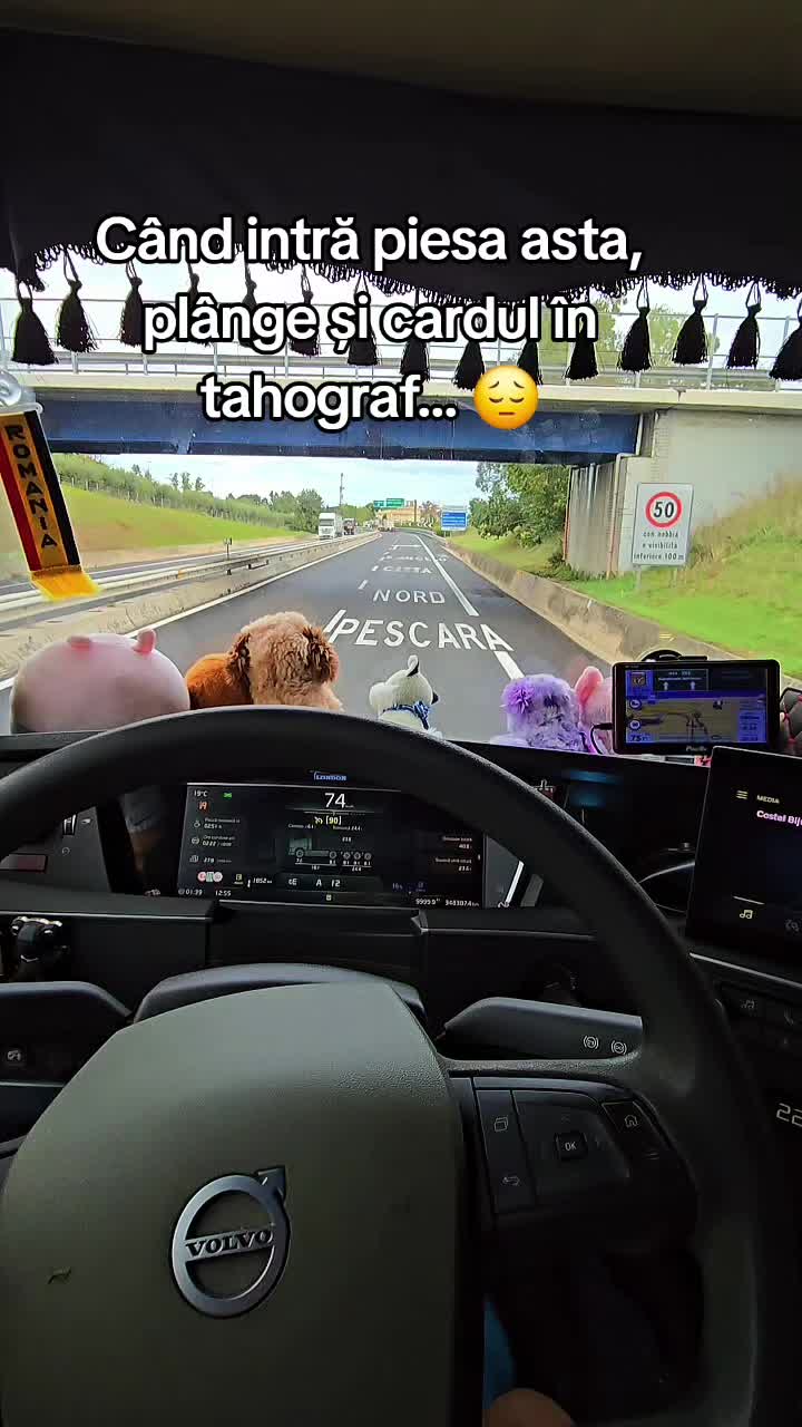 @Gabi Lupu