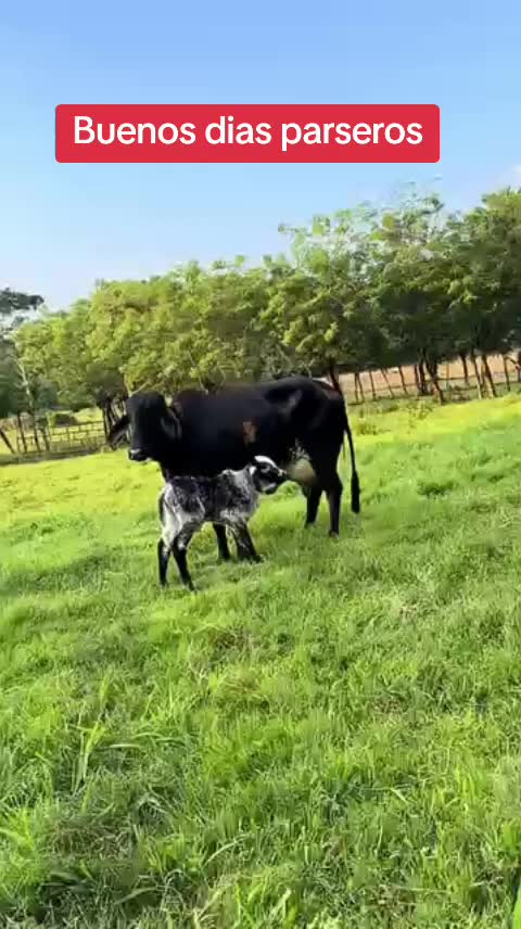 @NATURALEZARANCHO