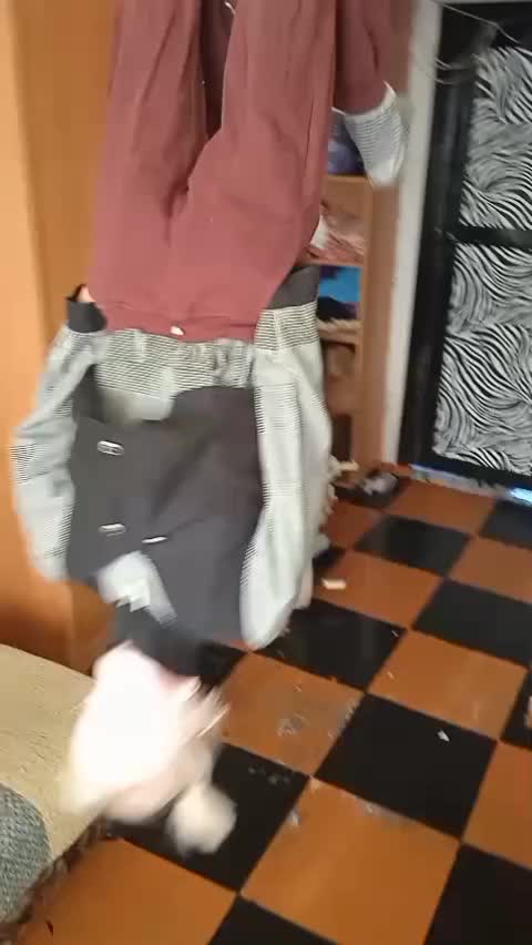@Коля Оля