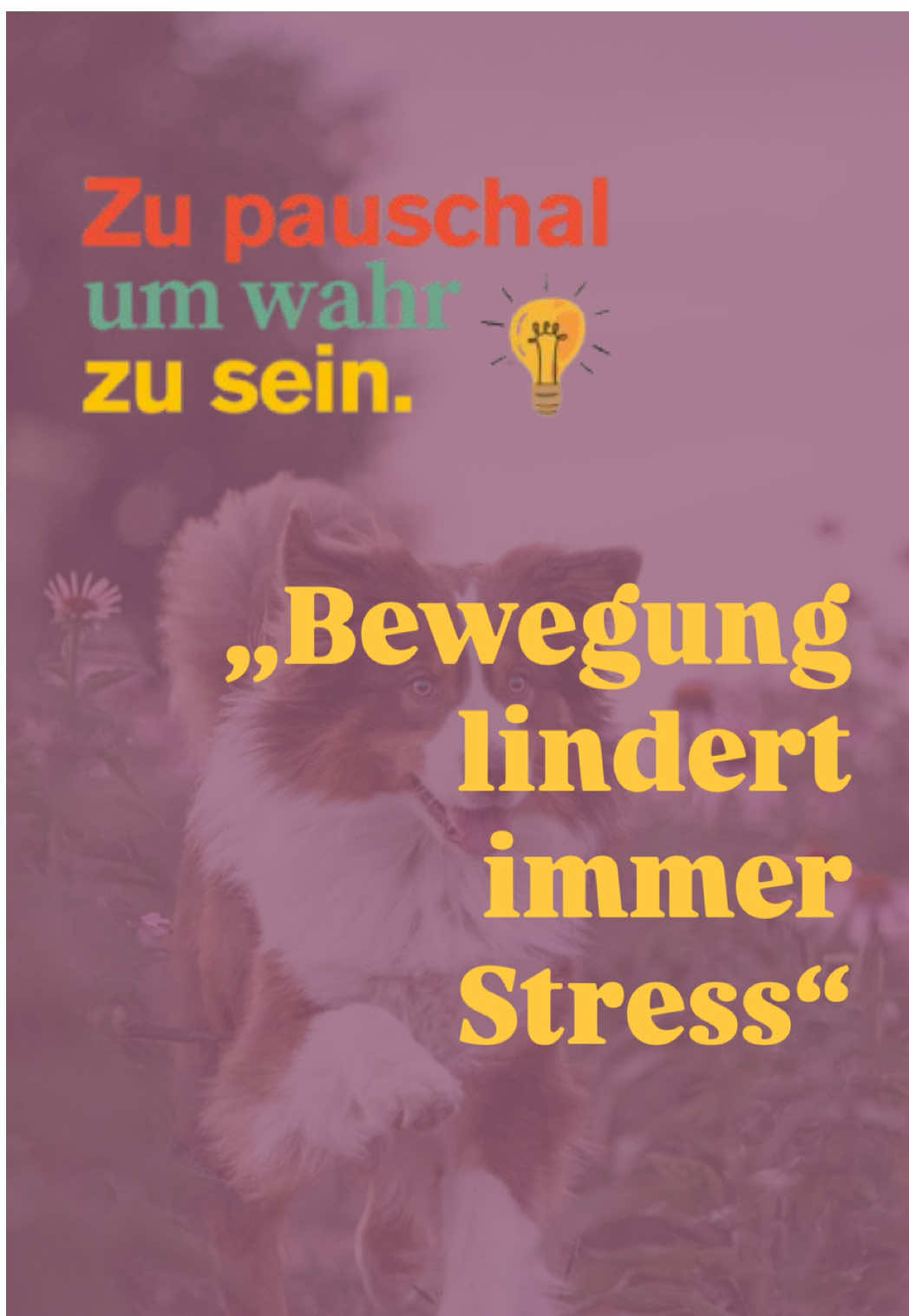 @Antonia | Hundetrainerin