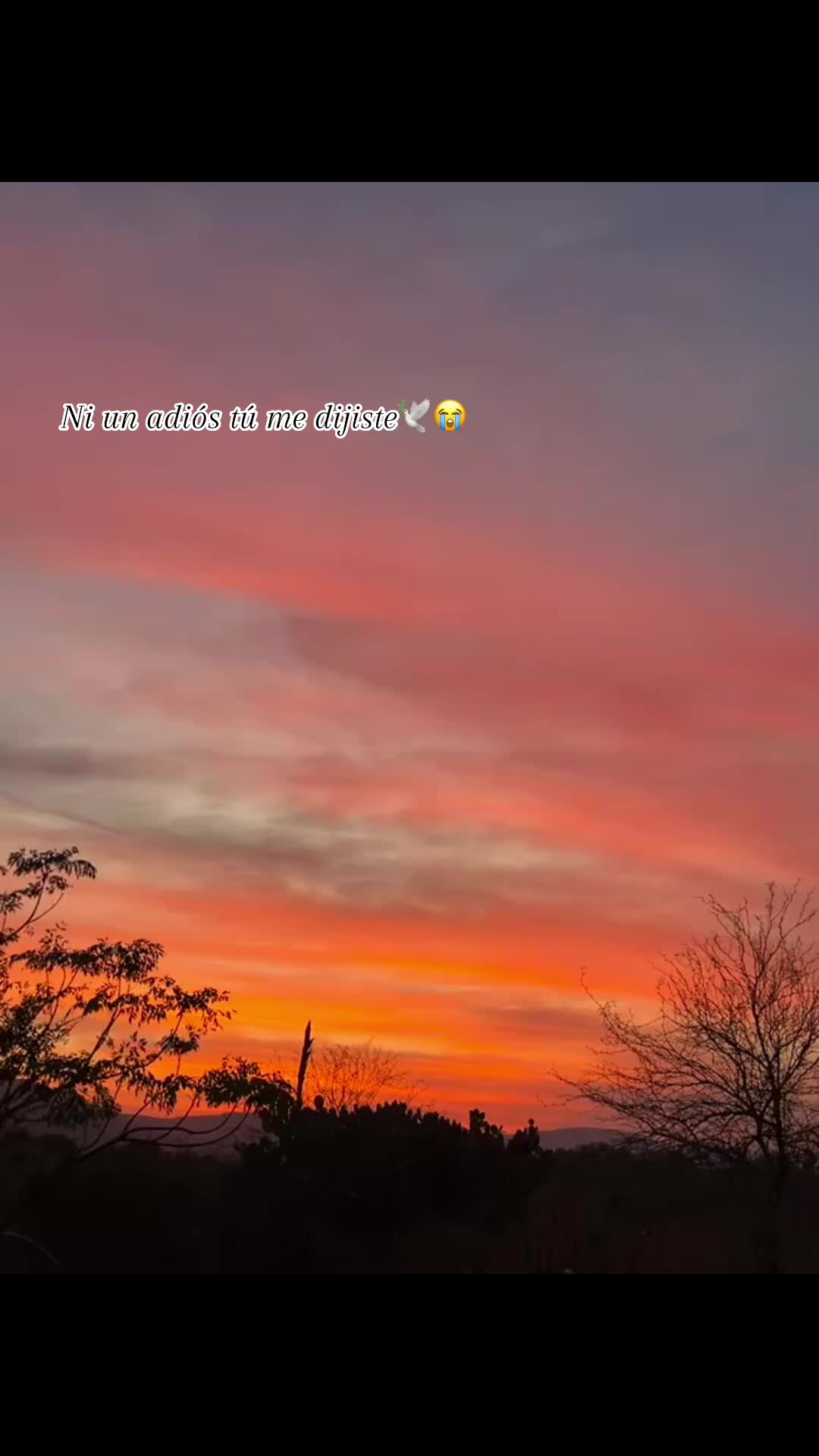 @NoheliaMtz🎀💞
