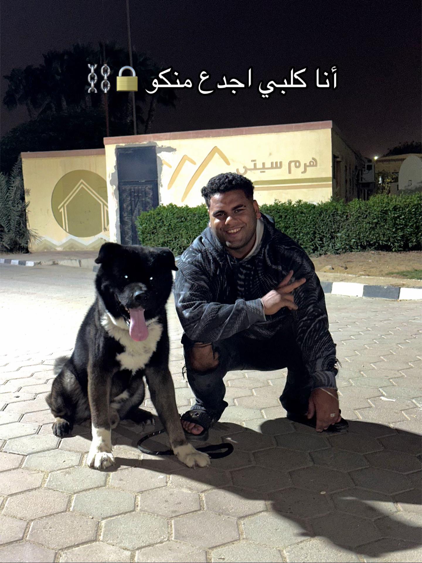 @eldbabahassan