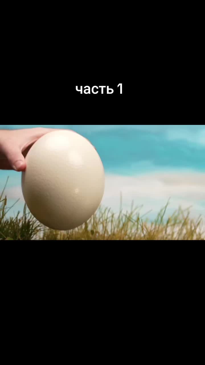 @𝐓𝐎𝐏