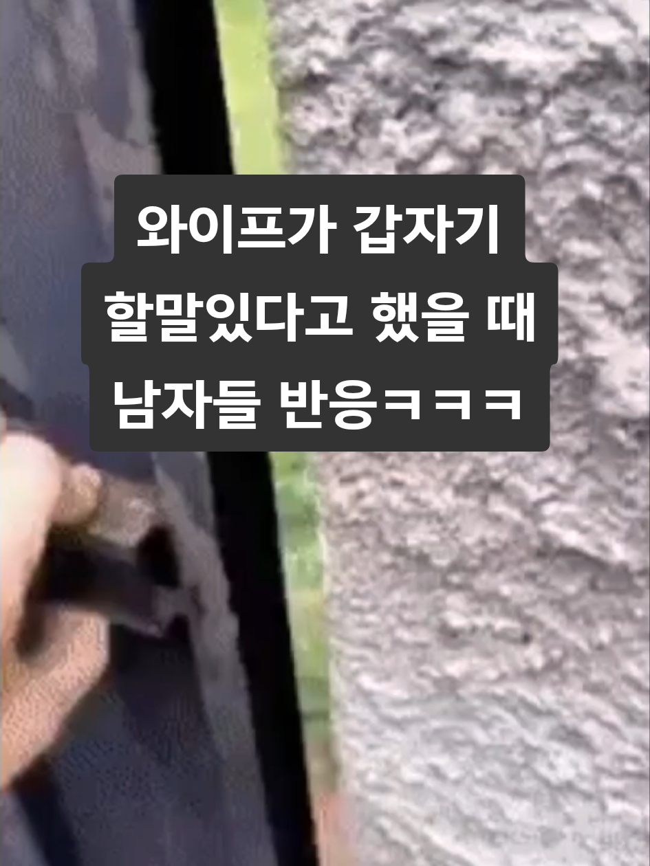 @감동TV