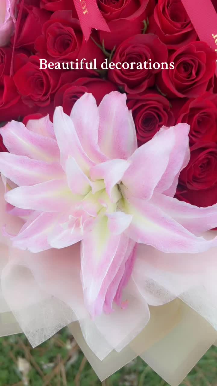 @🦋CLAUDIABRI 🦋