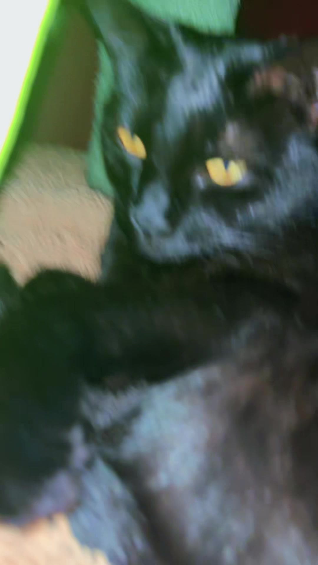@🧡💜🖤&sect;&thorn;&eth;&eth;k&aring;&szlig;&ecirc;ll&aring;🧡💜🖤