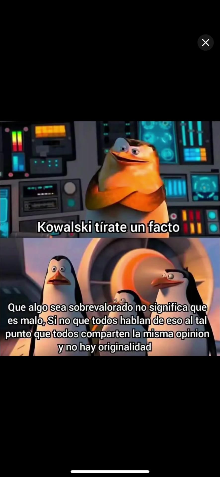 @ELCONEJOMALO