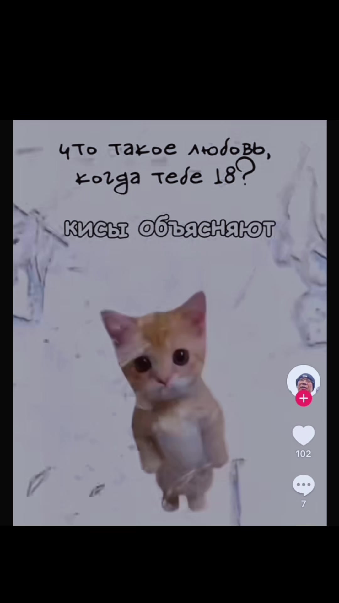 @Elizaveta_she&rsquo;s