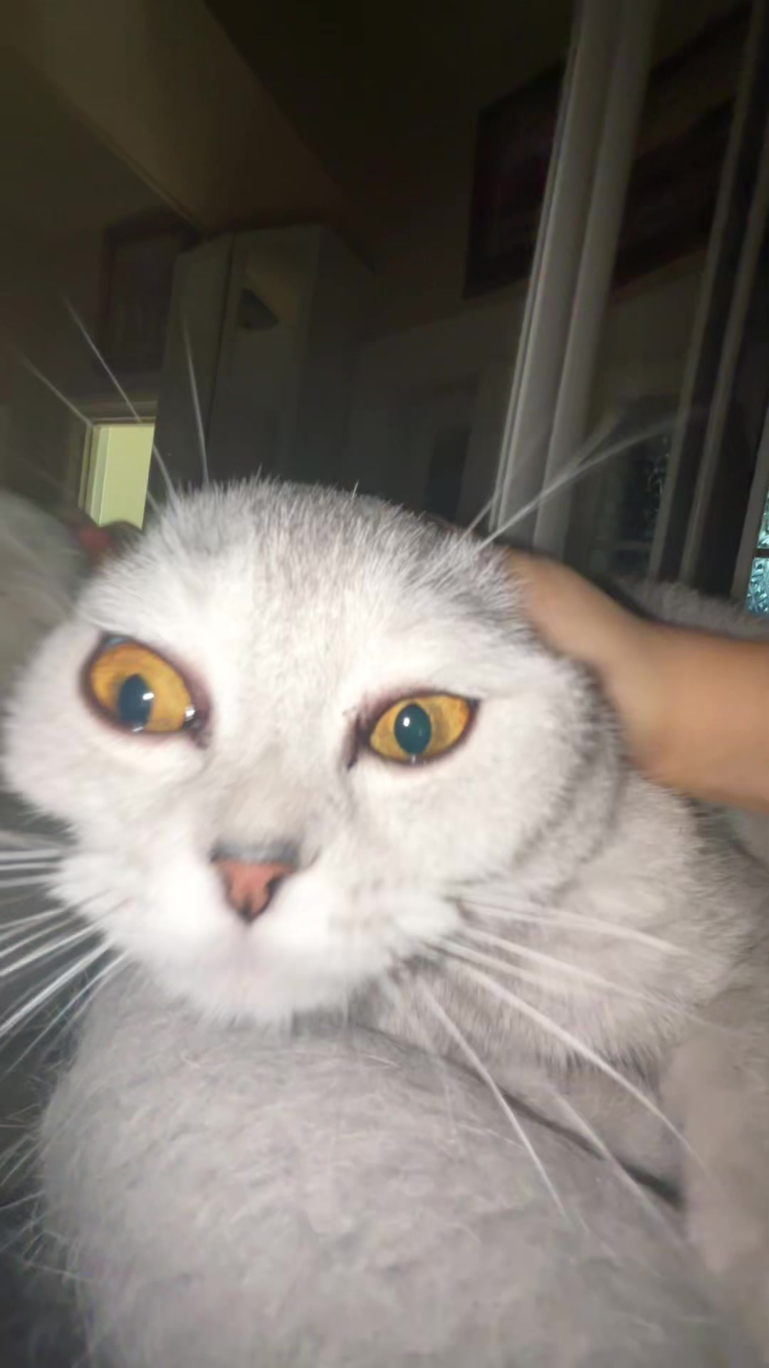 @⋆ Niki ⋆