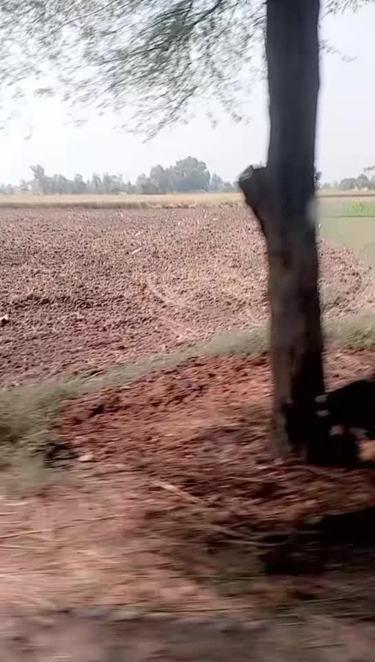 @@malikarfan388