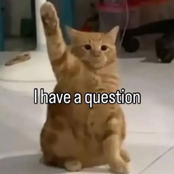 @Toyah&ensp;🧡